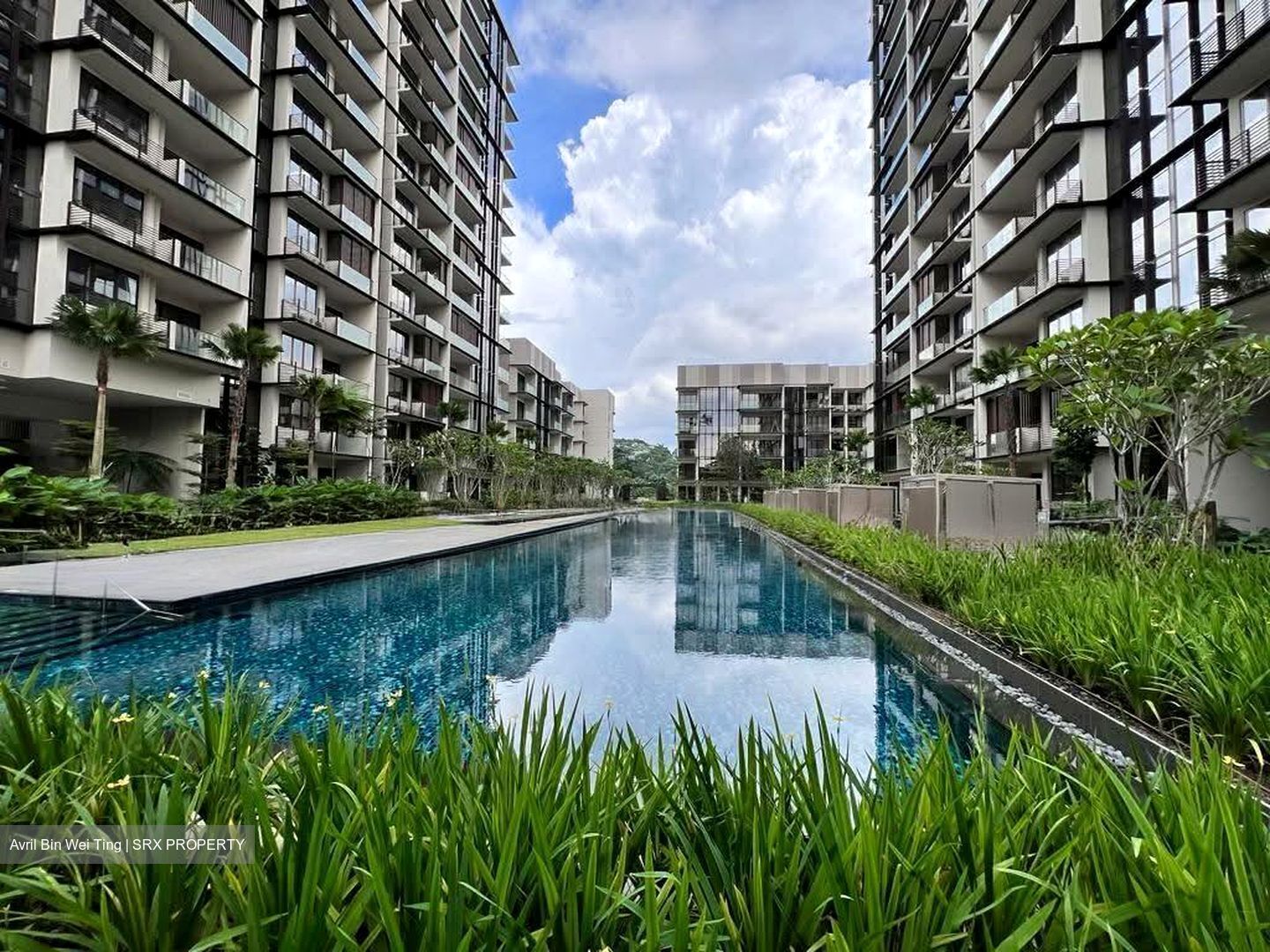 Dairy Farm Residences (D23), Apartment #553545391
